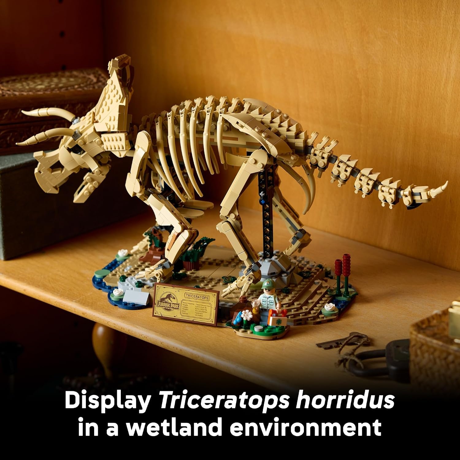 image:imageLEGO Jurassic World Dinosaur Fossils Triceratops 77985 Building Set for Adults Ages 18 Posable Dinosaur Fossil Display Bedroom or Home Office Decor 1154 pieces Gift Ideas