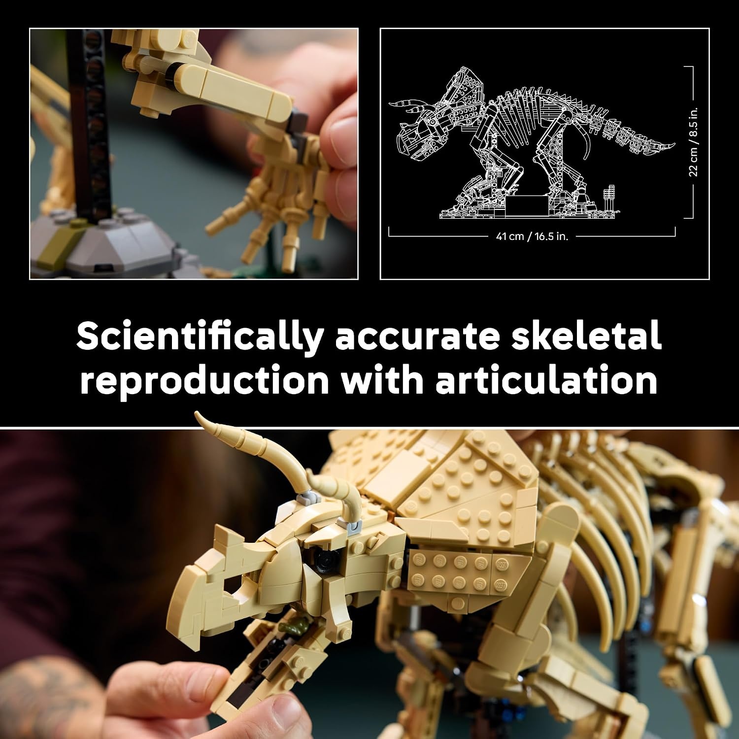 image:imageLEGO Jurassic World Dinosaur Fossils Triceratops 77985 Building Set for Adults Ages 18 Posable Dinosaur Fossil Display Bedroom or Home Office Decor 1154 pieces Gift Ideas