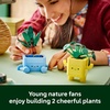 LEGO Botanicals Happy Plants Building Toy for Kids, Girls, and Boys 9+ – Playroom Decor for Desk or Shelf – Birthday Gift Idea for Young Gardeners – Artificial Indoor Plant for Play & Display – 10349