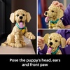 LEGO Icons Golden Retriever Puppy Building Set for Adults, Ages 18+ – Gift for Birthdays – Decor for Home, Bedroom, or Book Shelf – Posable Dog Figure – 11384