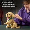 LEGO Icons Golden Retriever Puppy Building Set for Adults, Ages 18+ – Gift for Birthdays – Decor for Home, Bedroom, or Book Shelf – Posable Dog Figure – 11384
