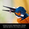 LEGO Icons Kingfisher Bird Model, Creative Set for Adults to Build and Display, Relaxing Project for Bird Lovers & Enthusiasts, Ideal Gift for Home and Office Décor, 10331
