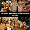 LEGO Jurassic World Dinosaur Fossils: Tyrannosaurus Rex – Building Set for Adults, Ages 18+ – Dinosaur Gift for Movie Lovers – Collectible Home Decor for Bedroom, Office, or Any Room – 76968
