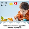 LEGO DUPLO Town Wild Animal Families Penguins & Lions Building Toy Playset – Preschool Learning & Educational Animal Toy for Toddlers, Boys and Girls, Ages 2+ – Baby Gift Ideas – 10442