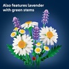 LEGO Botanicals Daisies Building Toy – Artificial Flowers Crafting Kit for Girls & Boys, Ages 9+ – Kids Room Decor for Book Shelf or Desk – Gift Idea for Birthdays – 11508
