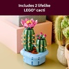 LEGO Botanicals Flowering Cactus Building Toy – Crafting Kit for Girls & Boys, Ages 9+ – Gift for Birthdays – Cactus Room Decor for Display for Bedroom or Book Shelf – 11509