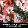 LEGO Botanicals Orchid – Artificial, Fake Indoor Flowers Building Set for Home, Kitchen, Desk Decoration, Adults Ages 18+ – Gift for Birthdays – 10311