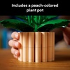 LEGO Botanicals Peace Lily Flower Building Set for Adults – Gifts for Birthdays – DIY Bedroom, Book Shelf & Office Decor for Women & Men, Ages 18+ – Artificial Flowers Crafting Kit – 11504
