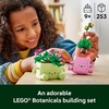 LEGO Botanicals Rocking Plants – Building Toy for Kids, Girls & Boys, Ages 9+ – Decor for Dorm Desk or Shelf – Housewarming Gift Ideas – 11506