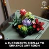 LEGO Botanicals Succulents – Artificial Indoor Plant Building Set for Home, Kitchen, Desk Decor Adults Ages 18+ – Gift for Birthdays – 10309