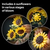 LEGO Botanicals Sunflower Bouquet Building Set for Adults, Ages 18+ – Gift for Birthdays – Artificial Flowers for Home Office, Bedroom or Desk Decor – 11502