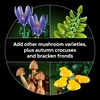 LEGO Botanicals Woodland Mushrooms – Building Set for Adults, Ages 18+ – Mushroom Decor for Home Office or Desk – Gifts for Women & Men – Craft Activity – 11505