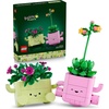 LEGO Botanicals Rocking Plants – Building Toy for Kids, Girls & Boys, Ages 9+ – Decor for Dorm Desk or Shelf – Housewarming Gift Ideas – 11506