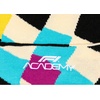 LEGO x F1 Academy Unisex Checkered Logo Beanie, Multicolor, One Size
