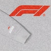 LEGO x F1 Men’s Build Crew Sweatshirt