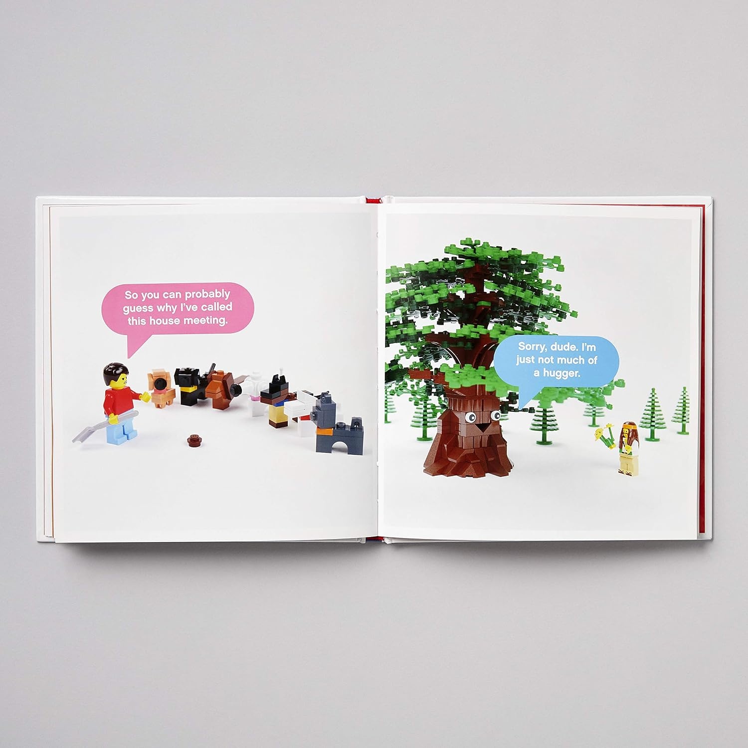 image:imageLEGO Small Parts The Secret Life of Minifigures LEGO x Chronicle Books