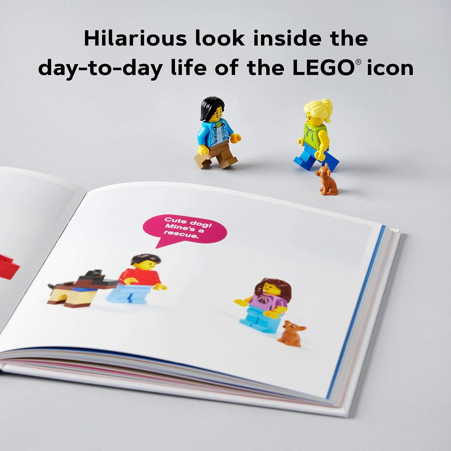 image:imageLEGO Small Parts The Secret Life of Minifigures LEGO x Chronicle Books