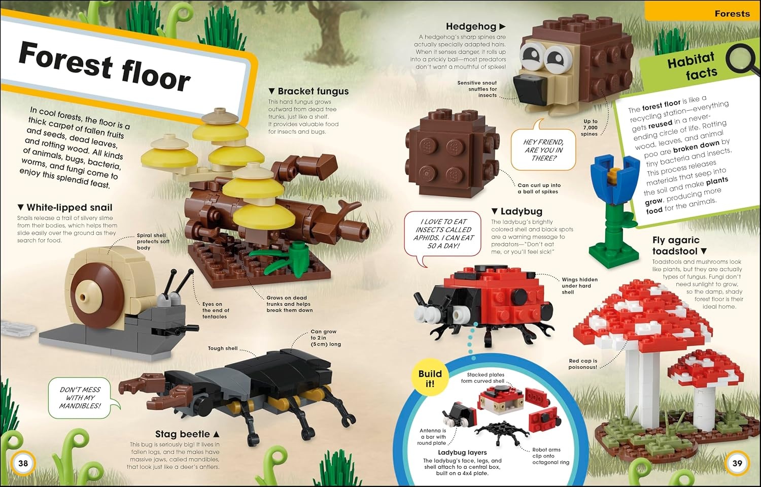image:imageLEGO Super Nature Includes Four Exclusive LEGO Mini Models