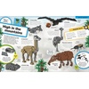 LEGO Animal Atlas: Discover the Animals of the World