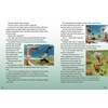 LEGO Ninjago 5-Minute Stories (LEGO Ninjago)