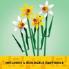 LEGO Daffodils – Building Toy for Kids, Girls and Boys, Ages 8+ – Birthday Gift for Kids – Artificial Daffodil for Bedroom Decor and Display – 40747