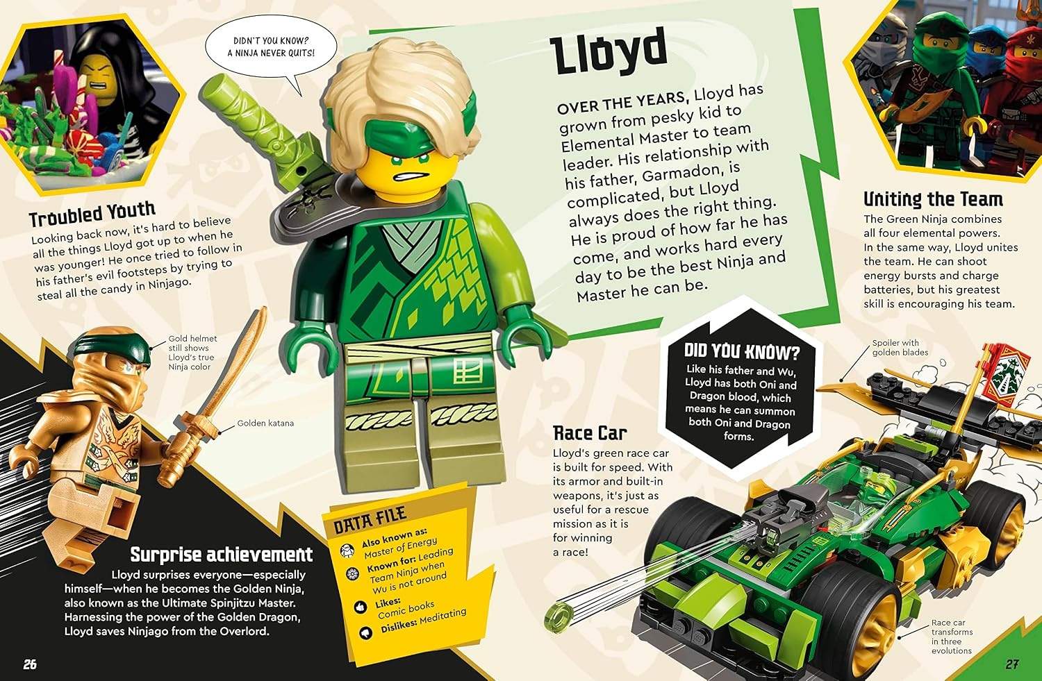 image:imageLEGO Ninjago Secret World of the Ninja Library Edition Without Minifigure