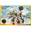LEGO Ninjago Secret World of the Ninja (Library Edition): Without Minifigure