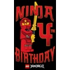 Fifth Sun Kids’ Ninja Birthday 4