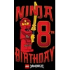 Fifth Sun Kids’ Ninja Birthday 8